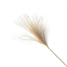 Load image into Gallery viewer, Natural Pampas Grass
