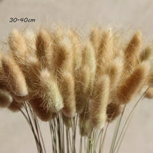 Load image into Gallery viewer, Aney Natural Dried Plants
