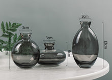 Load image into Gallery viewer, Danet Glass Vases
