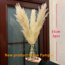 Load image into Gallery viewer, Camia Fluffy Pampas
