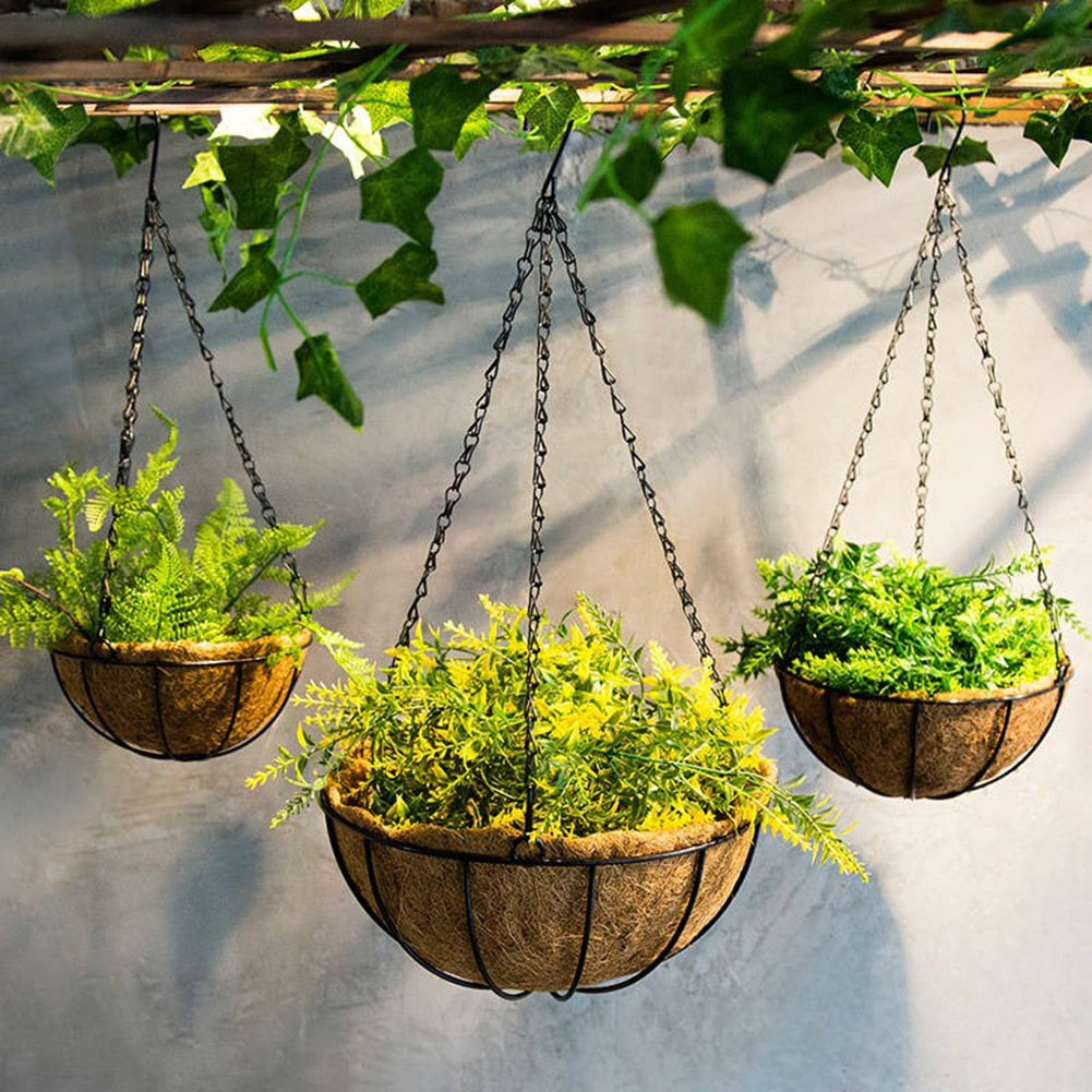 Lingen Natural Hanging Basket