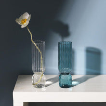 Load image into Gallery viewer, Totti Glass Vase
