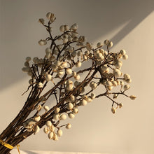 Load image into Gallery viewer, Ghenkai Flower
