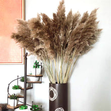 Load image into Gallery viewer, Juno Dried Pampas Grass
